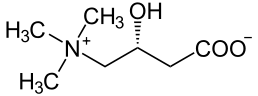 L-Carnitin (L-Carnitine)