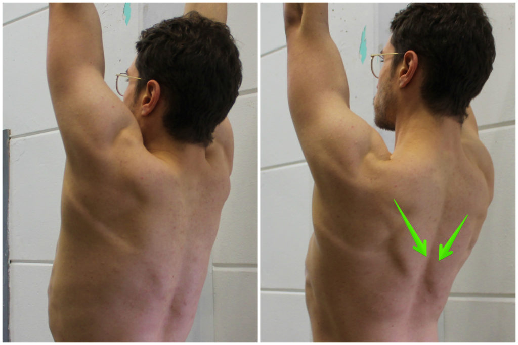 Ausgehängte vs. Aktive Schultern bei klimmzügen