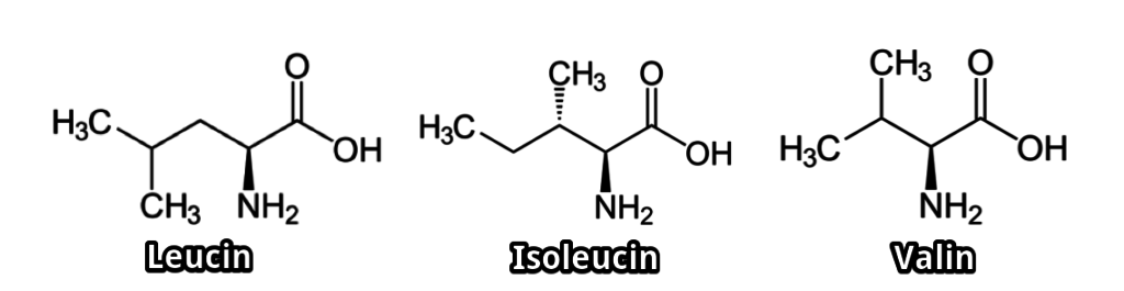 bcaa-leucin-isoleucin-und-valin-strukturformeln