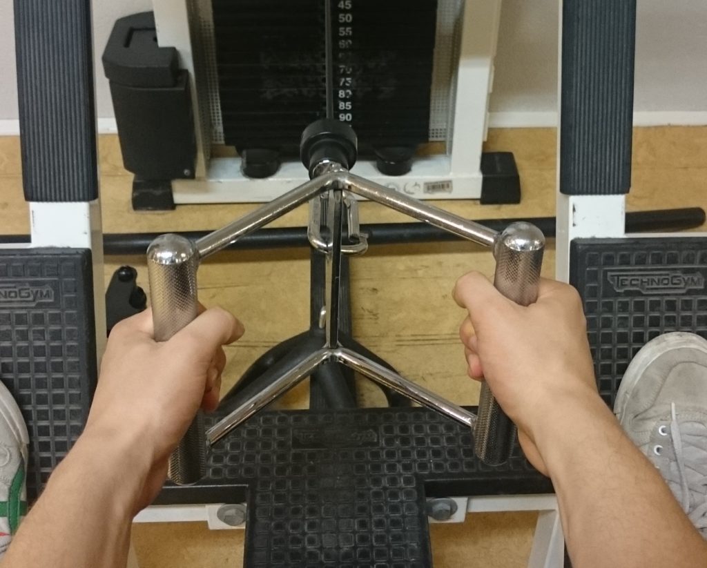 Bild vom Parallelgriff beim Rudern